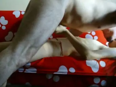 ABG Bispak Hotel Bintang Lima Menggila